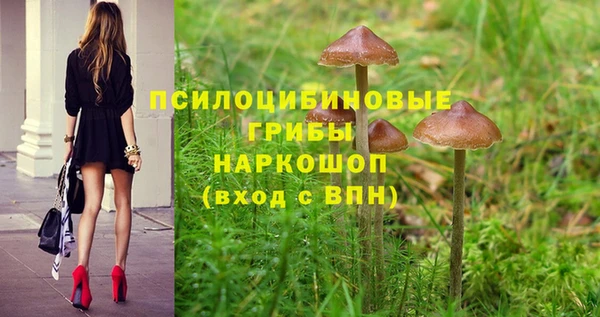 Альфа ПВП Алзамай