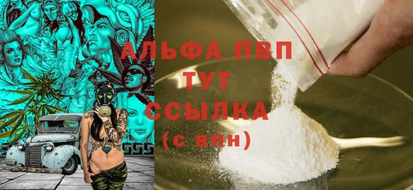 стафф Алексин